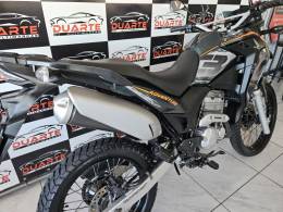 HONDA - XRE 300 - 2021/2021 - Verde - R$ 28.900,00